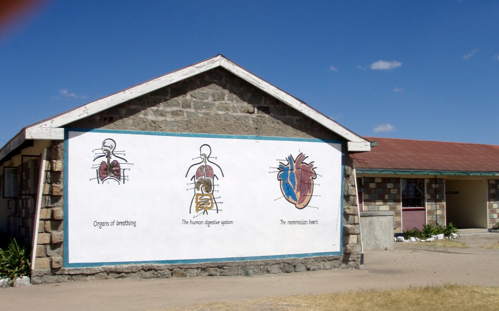 Skolens vægge bruges også i undervisningen.